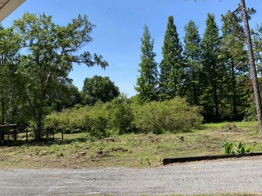 D & D Tree Service Logo