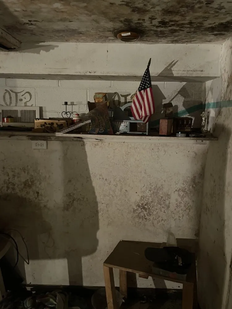 Trusted landscaping services for residential properties across Chester, PA - D & E Clean Outs & Junk Removal