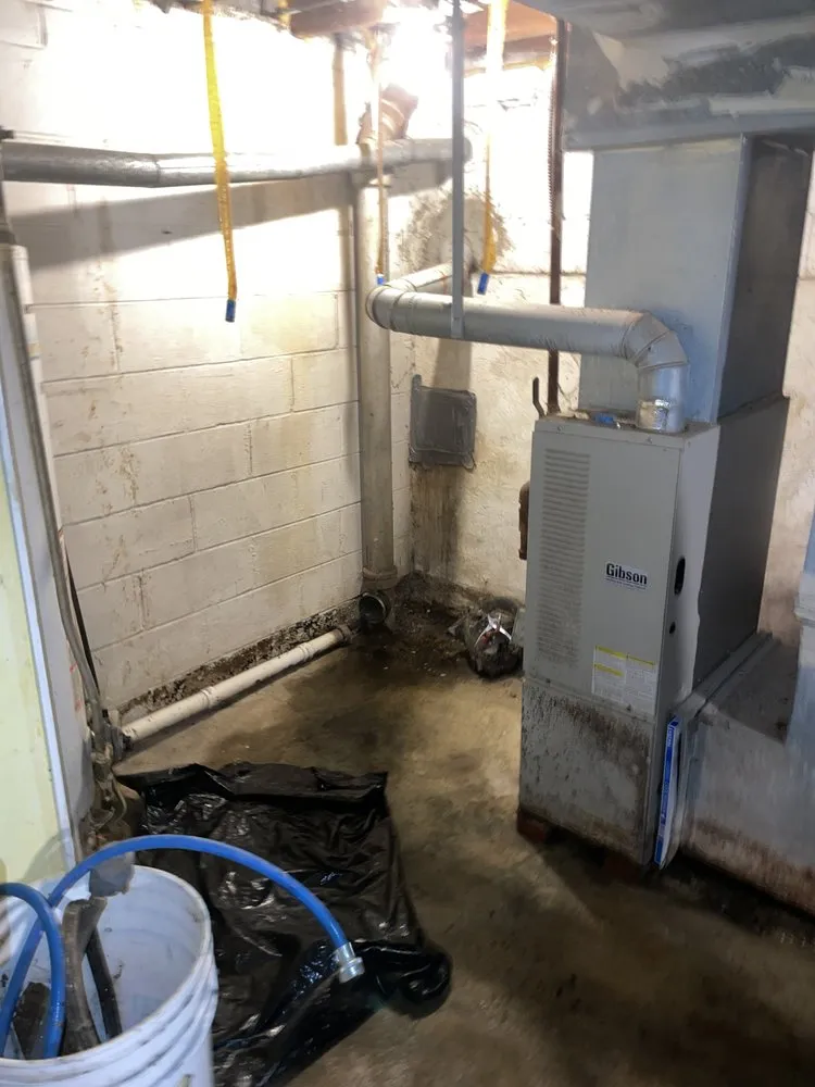 Trusted landscape design experts serving Chester, PA - D & E Clean Outs & Junk Removal