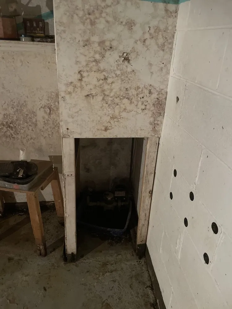 Custom landscaping services in Chester, PA by D & E Clean Outs & Junk Removal