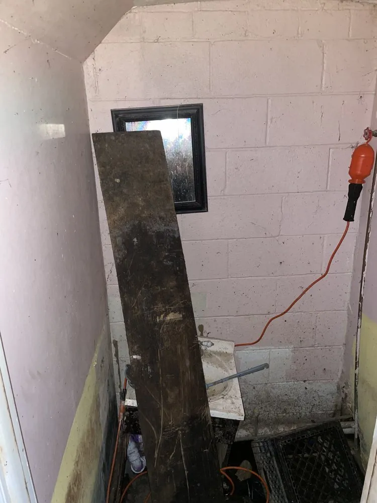 Affordable yard maintenance experts serving Chester, PA - D & E Clean Outs & Junk Removal