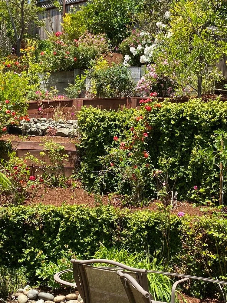 Affordable landscape installation for outdoor upgrades in East Palo Alto, CA by D & E Gardening and General Maintenance