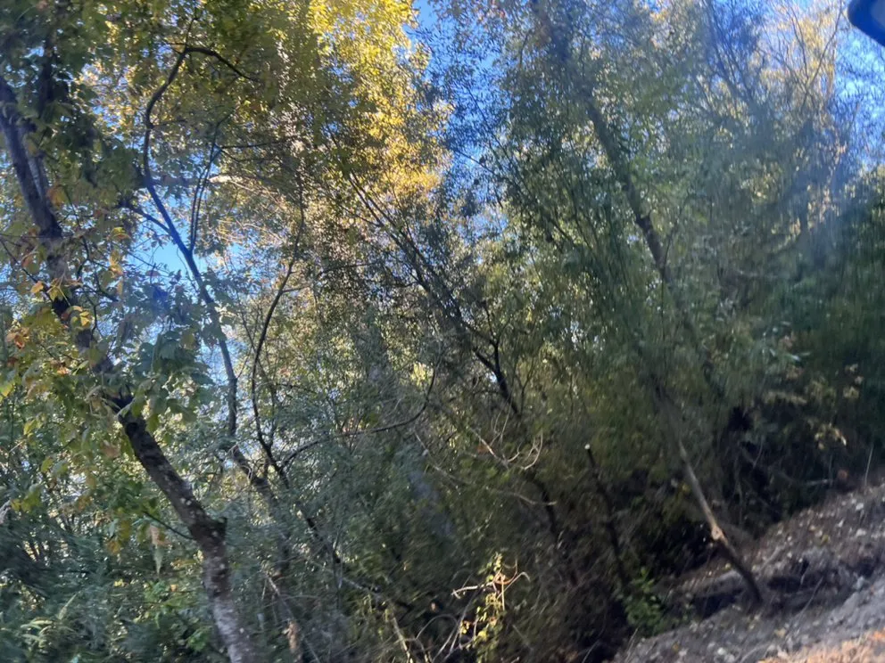 Expert landscaping services for year-round maintenance in East Palo Alto, CA by D & E Gardening and General Maintenance