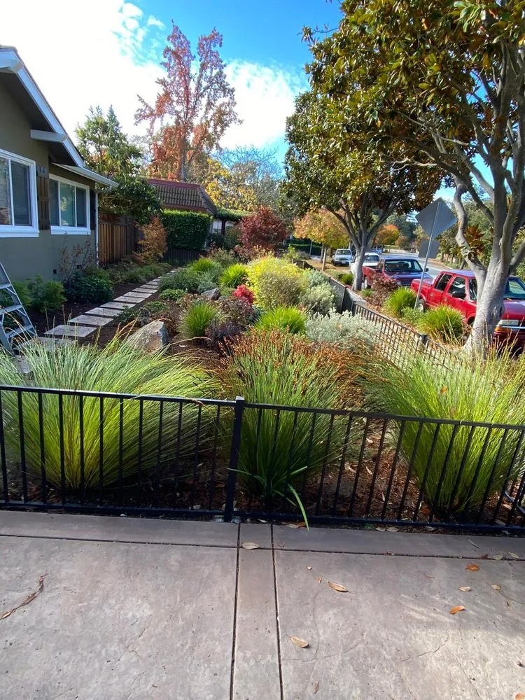 Reliable yard maintenance for outdoor upgrades across East Palo Alto, CA - D & E Gardening and General Maintenance