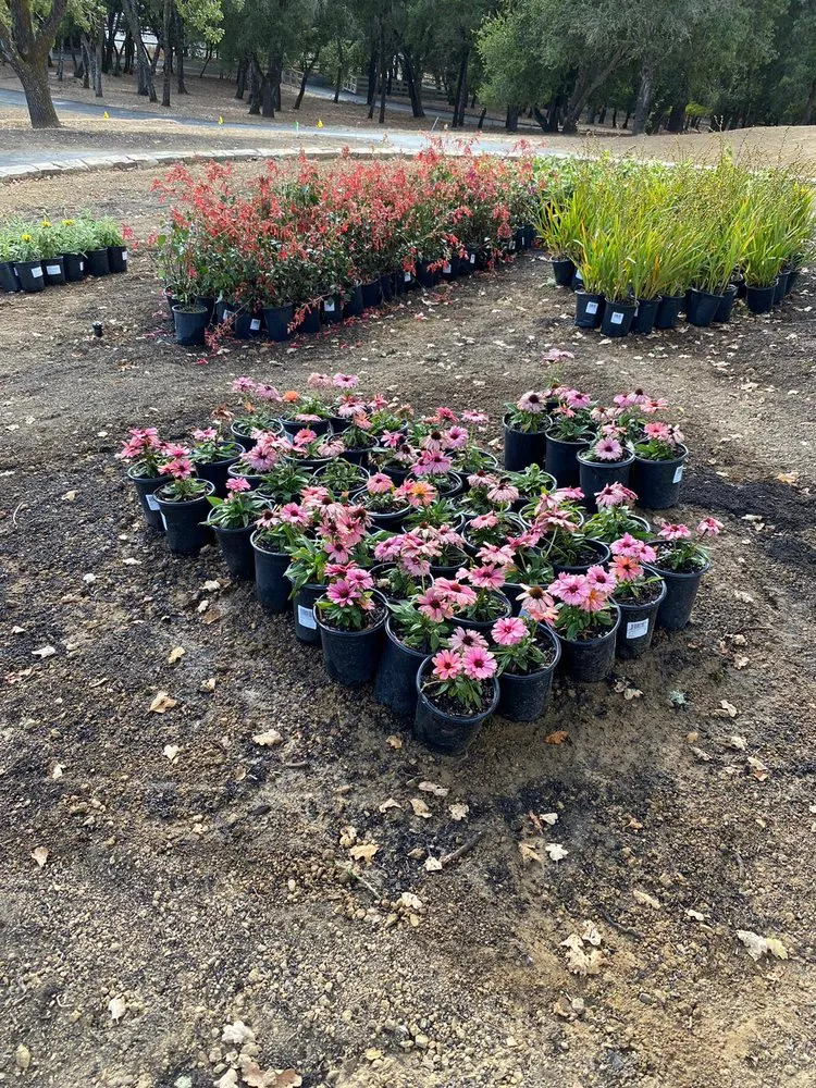 Top-rated lawn mowing service in East Palo Alto, CA by D & E Gardening and General Maintenance