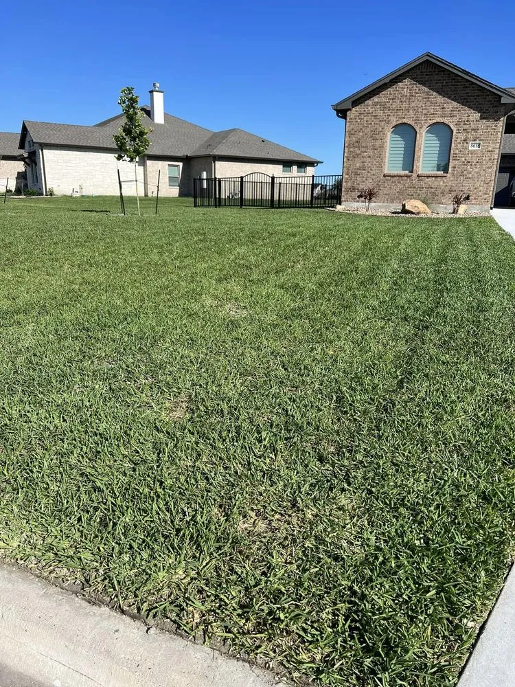 Trusted landscaping services in Corpus Christi, TX - D & E Groundskeeping Yard Services