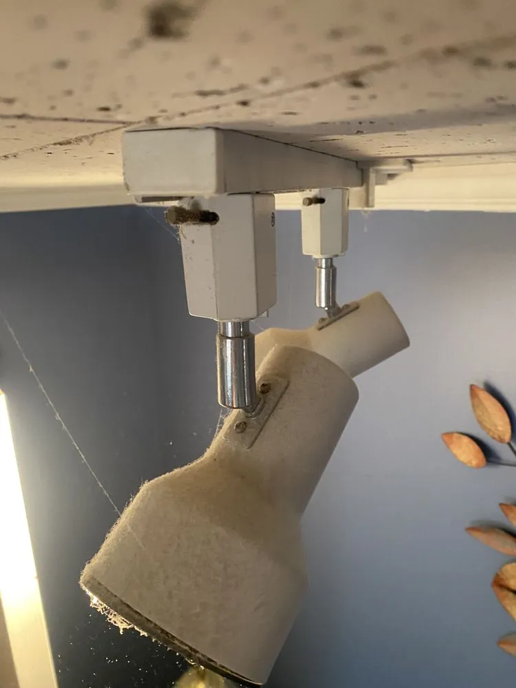 Local residential landscaping in East Windsor, NJ by D & E Group Cleaning Services