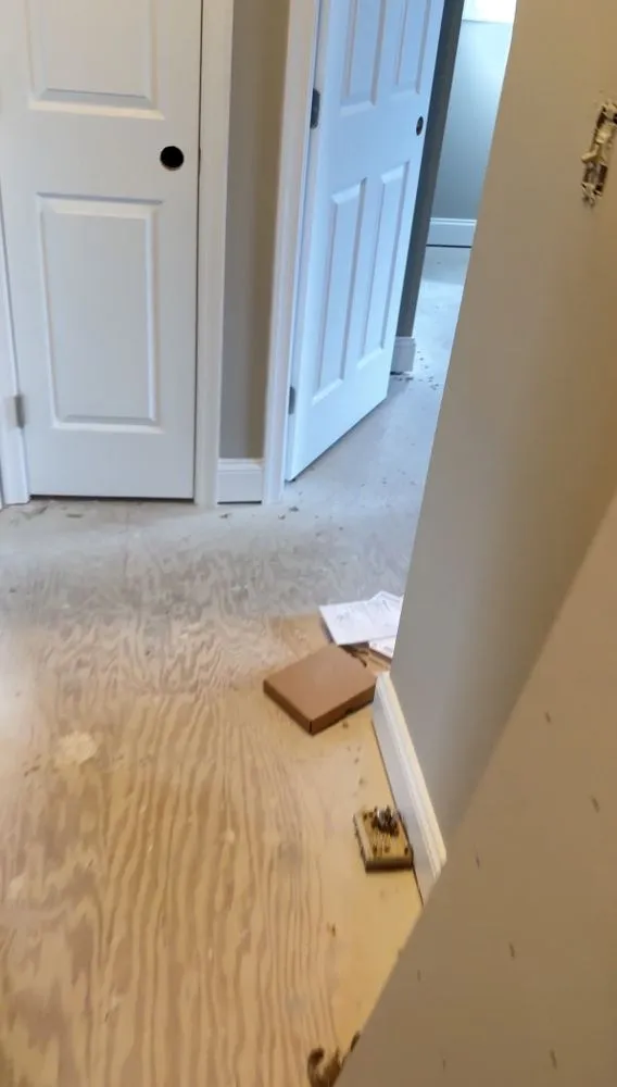 Reliable yard maintenance for outdoor upgrades across Upper Marlboro, MD - D & E House Cleaning And Landscaping