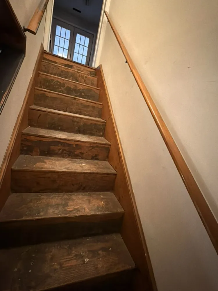 Reliable garden landscaping for year-round maintenance across Upper Marlboro, MD - D & E House Cleaning And Landscaping