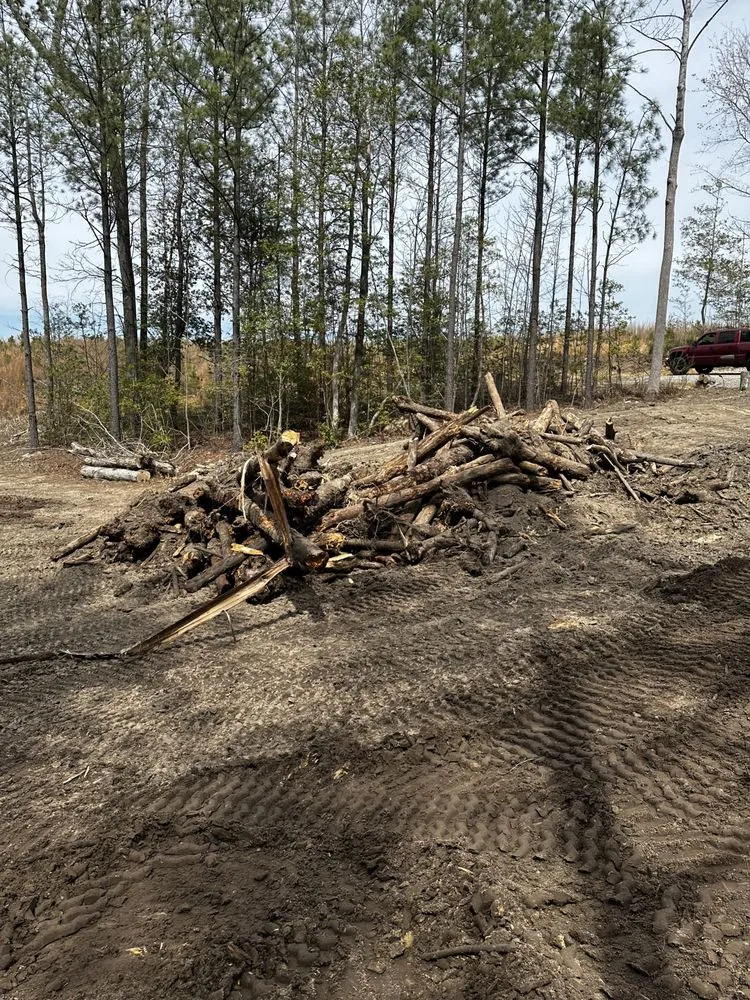Trusted yard cleanup service in Bruington, VA - D & E Land Management
