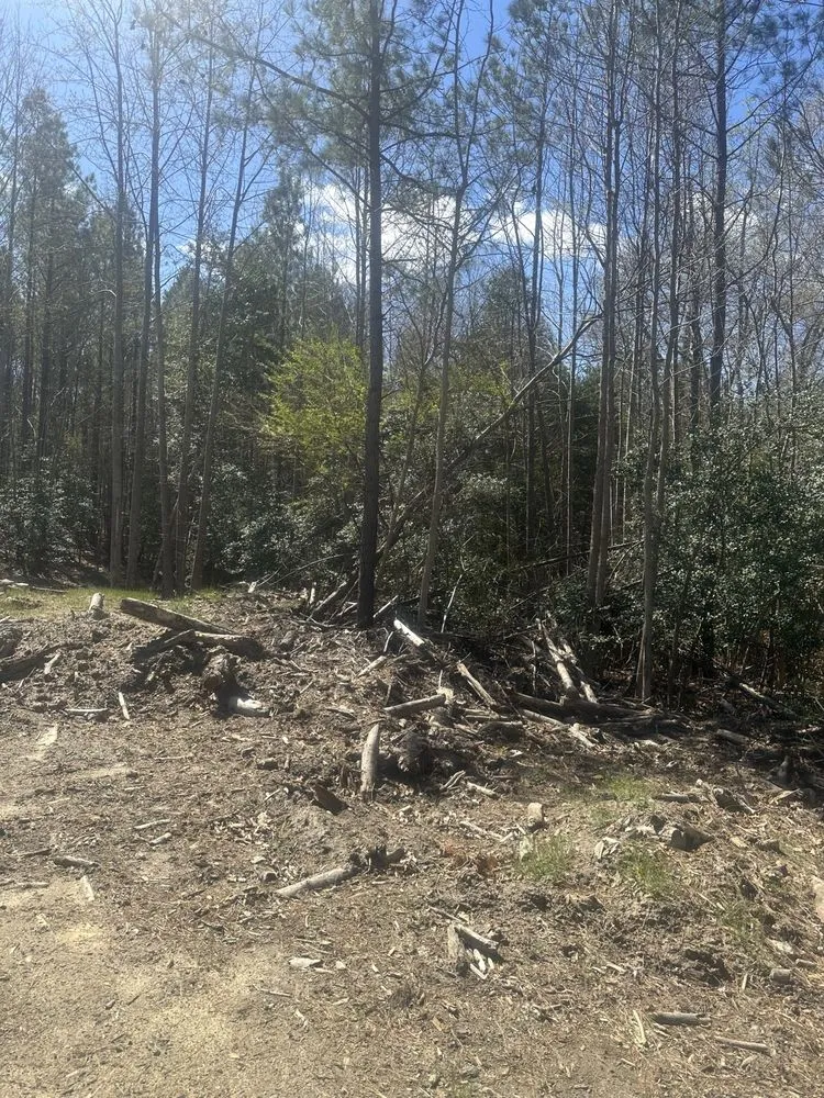 Affordable outdoor landscaping near you across Bruington, VA - D & E Land Management