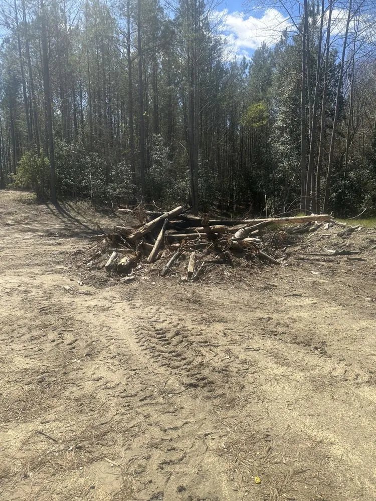 Professional landscaping services for outdoor upgrades in Bruington, VA by D & E Land Management