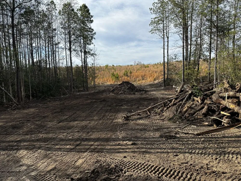 Local yard cleanup service for outdoor upgrades across Bruington, VA - D & E Land Management