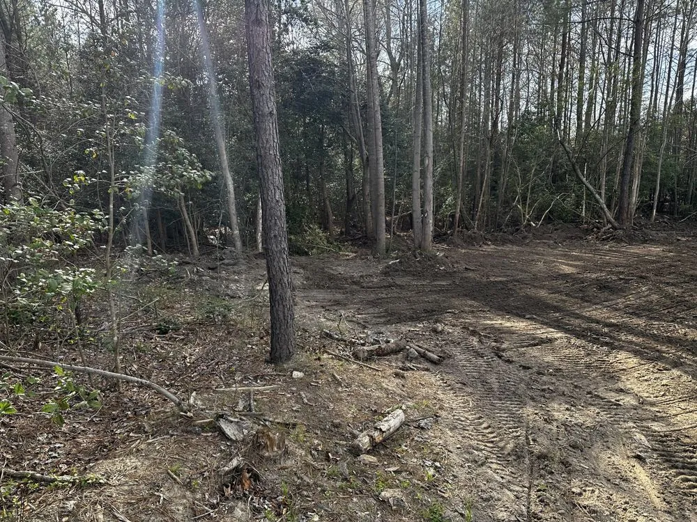 Expert garden landscaping experts serving Bruington, VA - D & E Land Management