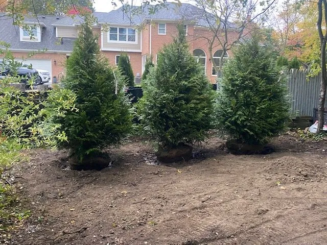 Custom outdoor landscaping for beautiful yards across Richmond, MI - D & E Landscaping & Grading