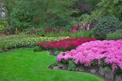 Affordable lawn mowing service in Apopka, FL - D & E Landscaping