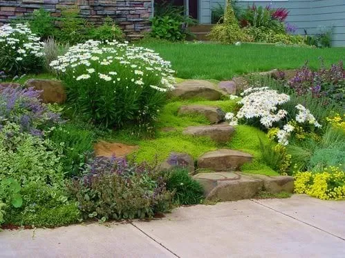 Reliable yard maintenance in Milford, MI - D & E Lawn & Snow Services