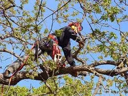 Top-rated landscape design for homes across Milford, MI - D & E Lawn & Snow Services