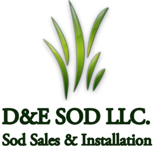 Custom yard cleanup service experts serving Naples, FL - D & E Sod