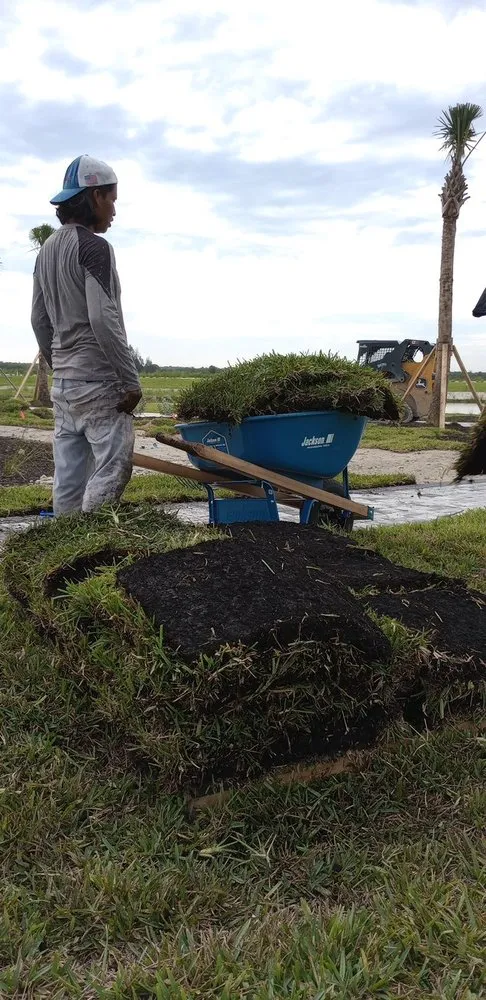 Professional lawn care service experts serving Naples, FL - D & E Sod