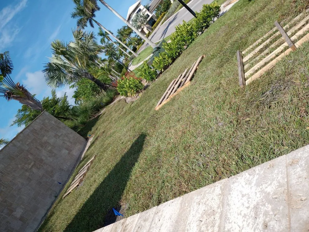 Local landscaping services for year-round maintenance across Naples, FL - D & E Sod