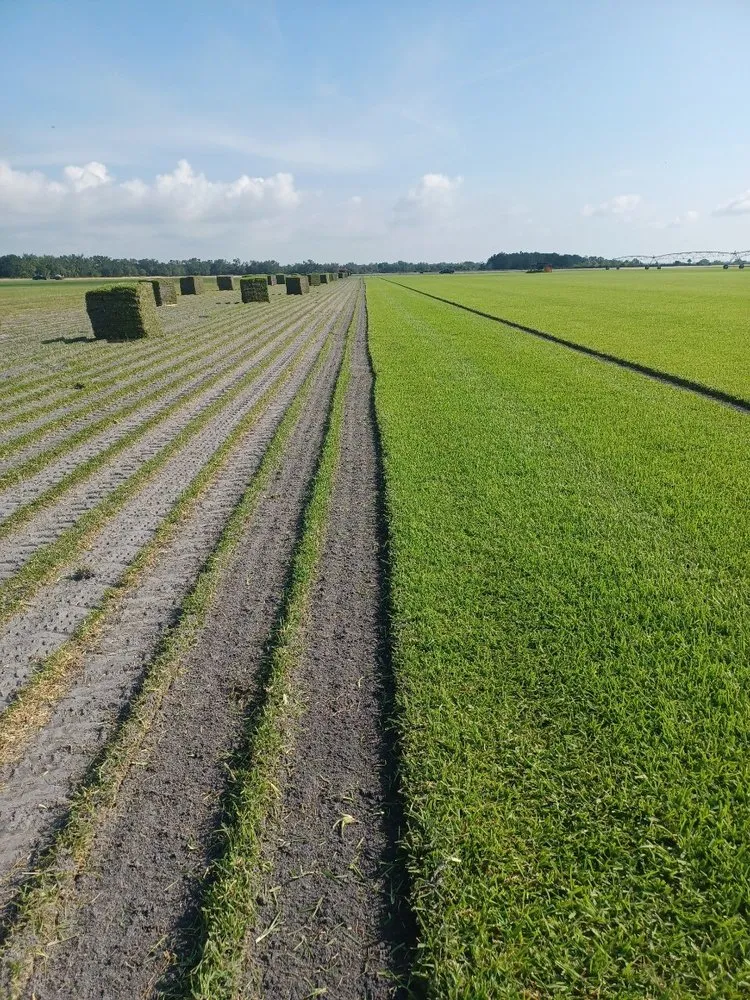 Local landscape installation for outdoor upgrades across Naples, FL - D & E Sod
