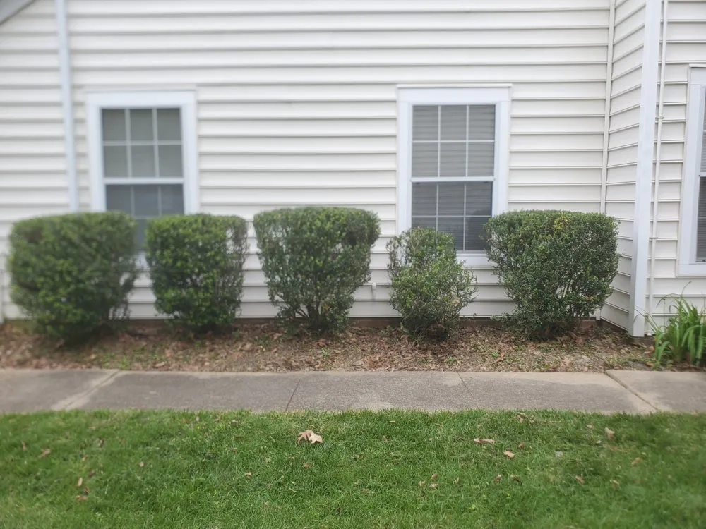 Top-rated lawn mowing service in Newport News, VA - D & F All-in-1 Home services