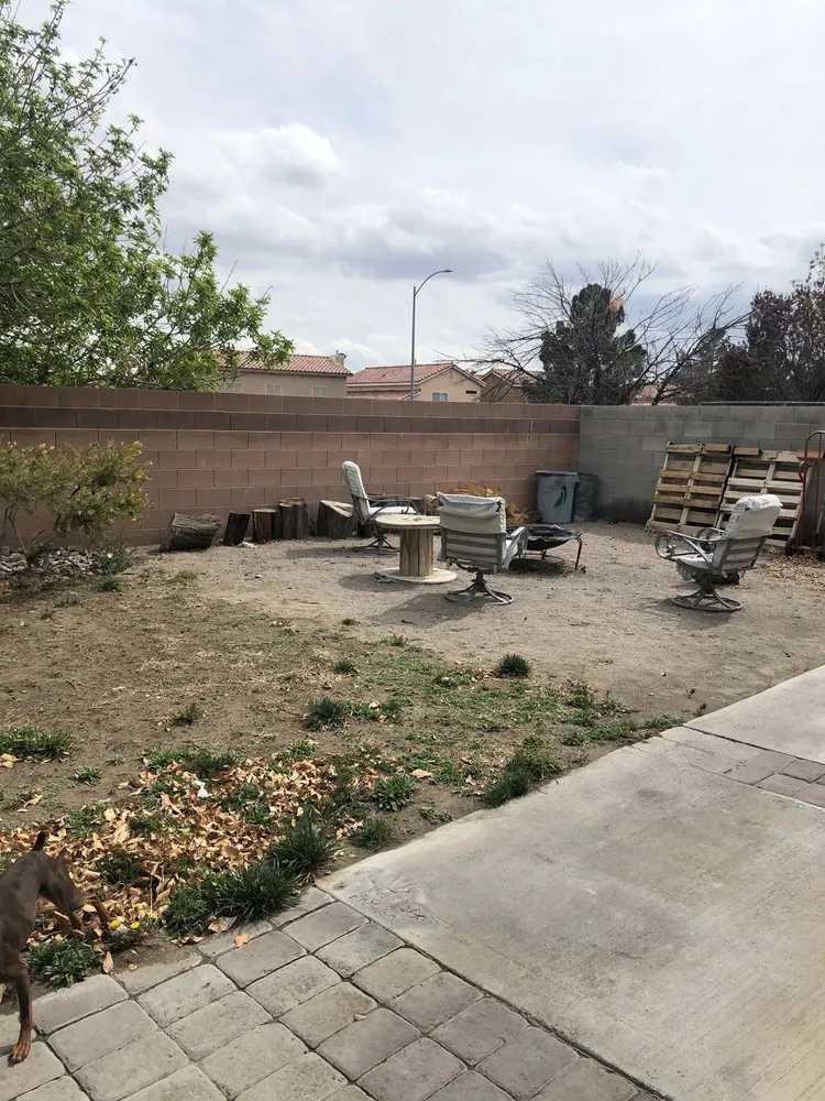 Top-rated landscaping services experts serving Las Vegas, NV - D & G Landscaping