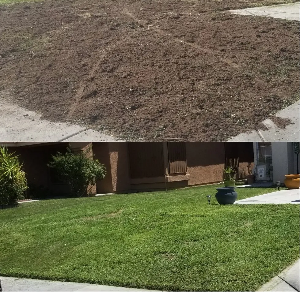 Trusted lawn care service in Las Vegas, NV - D & G Landscaping