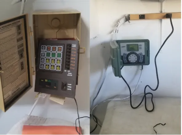 Trusted yard cleanup service in Las Vegas, NV by D & G Landscaping