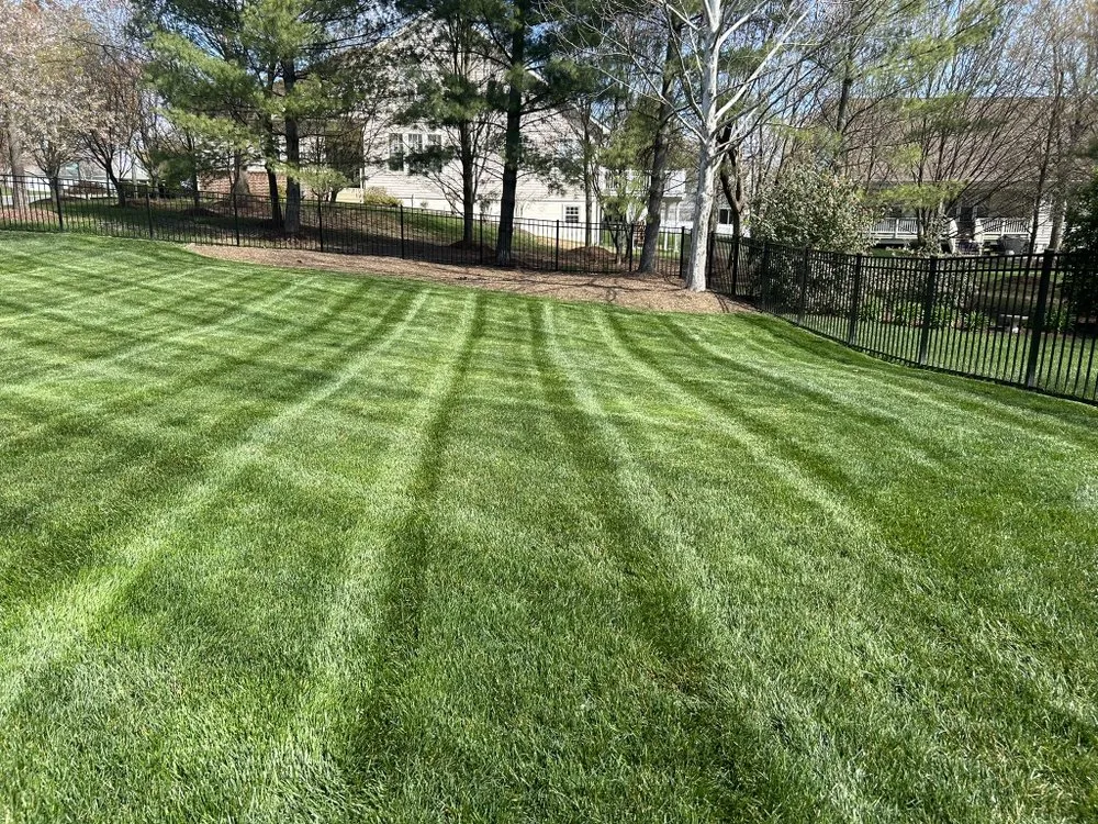 Local outdoor landscaping with custom design across Fairfax, VA - D & G Lawn Care