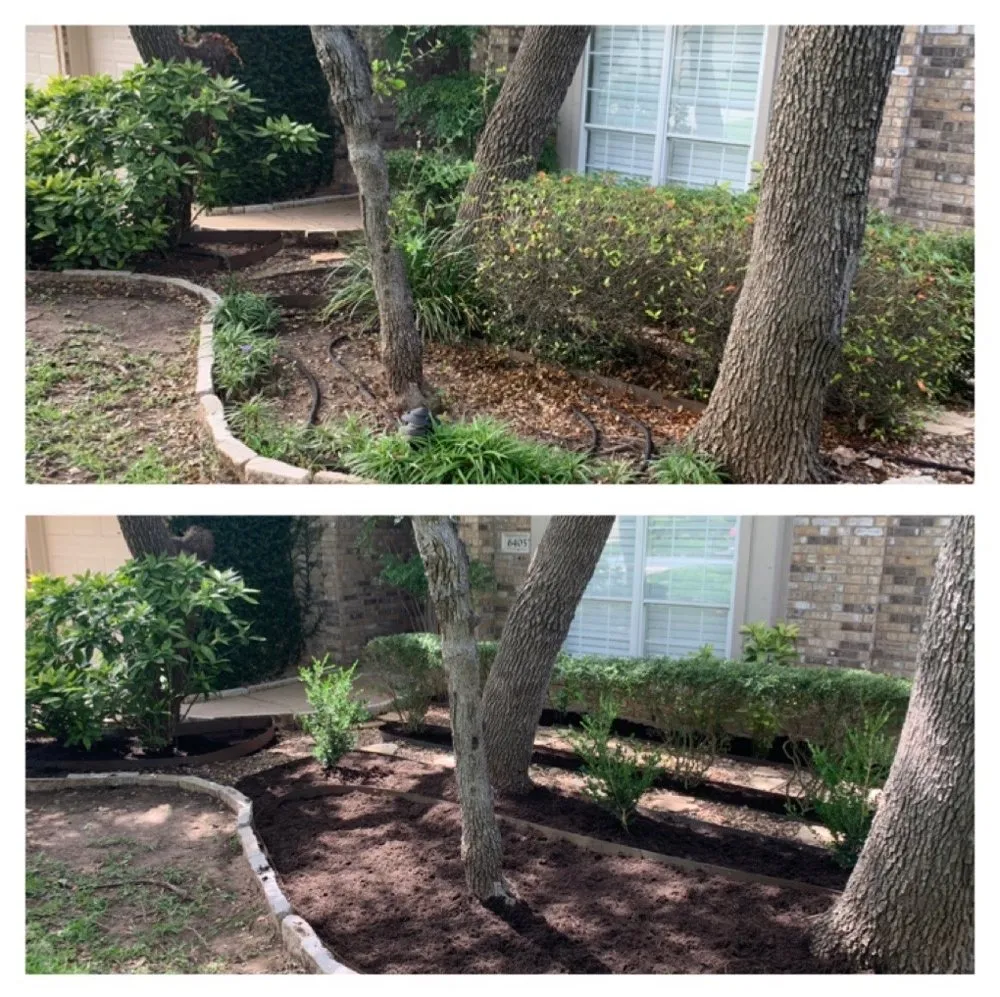 Top-rated garden landscaping experts serving Lockhart, TX - D & G Tree And Landscaping Services