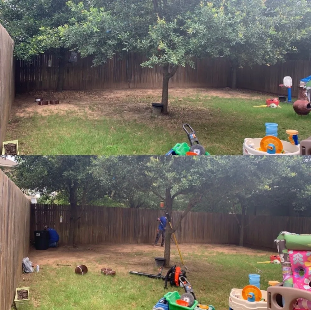 Affordable residential landscaping experts serving Lockhart, TX - D & G Tree And Landscaping Services