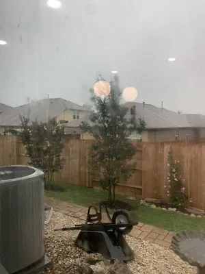 D & G Tree And Landscaping Services Logo