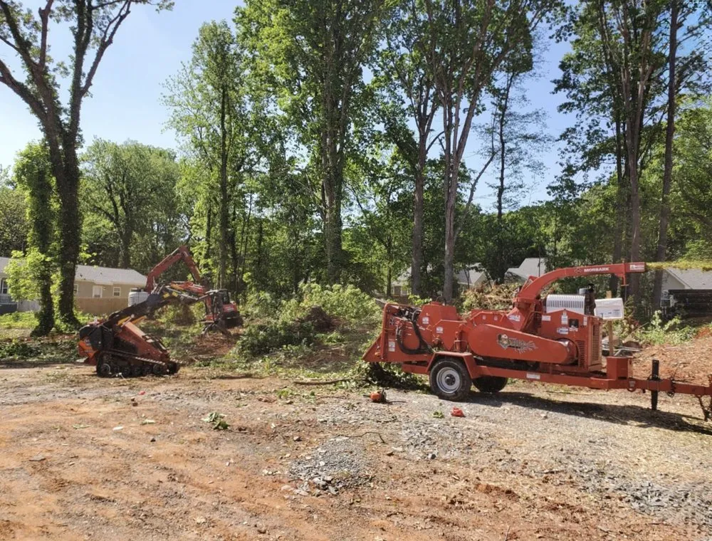 Local outdoor landscaping in Sugar Hill, GA - D & G Tree Removal And More