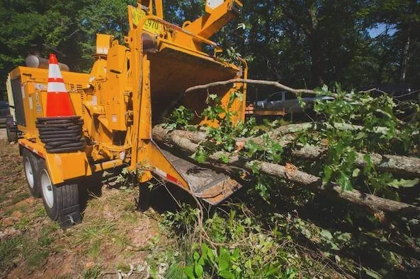 Trusted landscaping services in Sugar Hill, GA - D & G Tree Removal And More