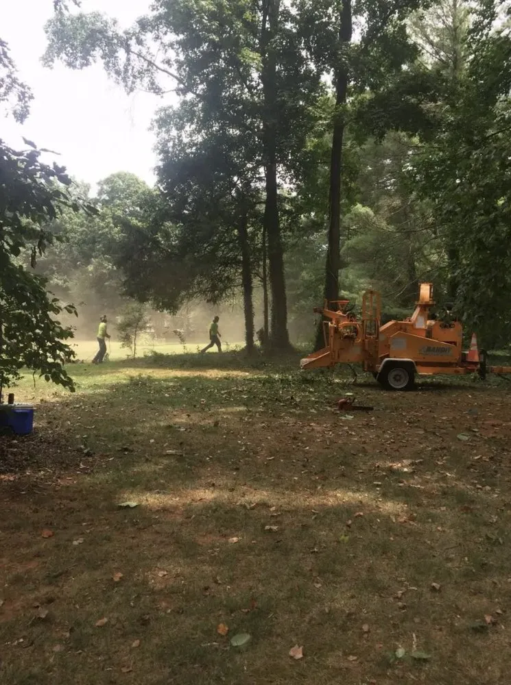 Local lawn mowing service in Sugar Hill, GA by D & G Tree Removal And More