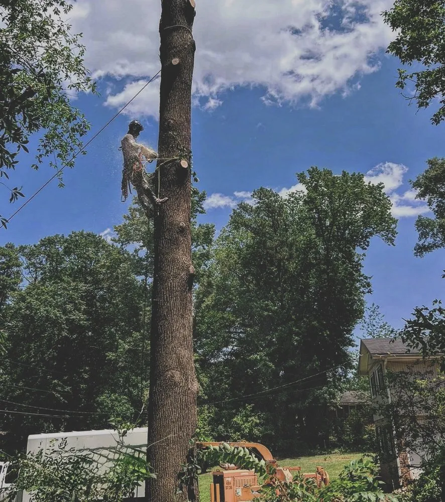 Expert residential landscaping in Sugar Hill, GA by D & G Tree Removal And More