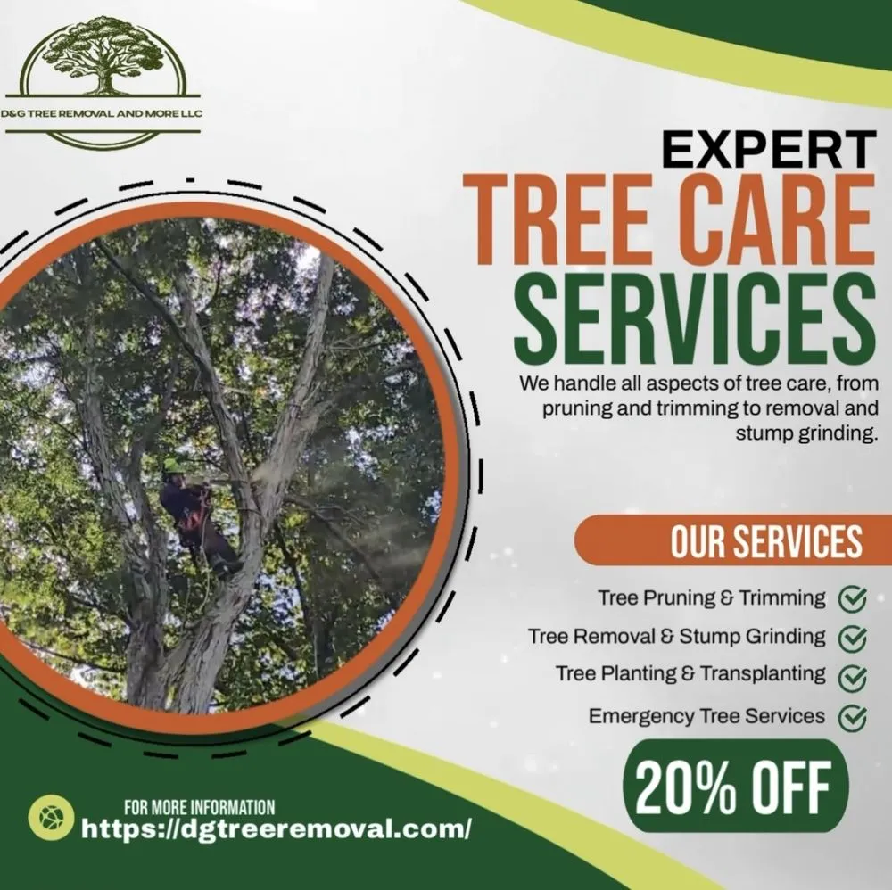 Trusted residential landscaping in Sugar Hill, GA by D & G Tree Removal And More