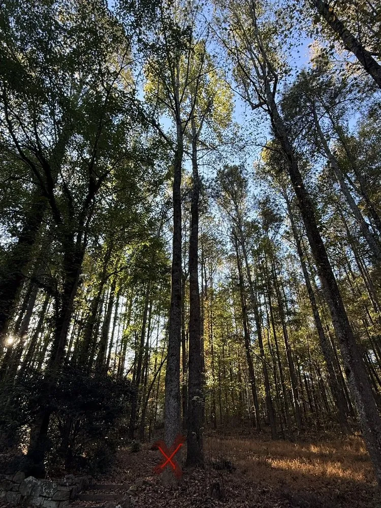 Local yard maintenance for homes across Sugar Hill, GA - D & G Tree Removal And More