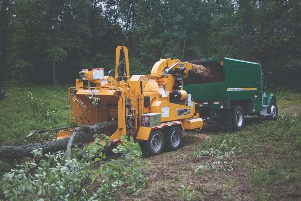 Custom yard cleanup service experts serving Sugar Hill, GA - D & G Tree Removal And More