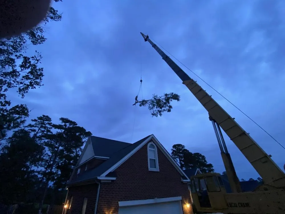 Trusted yard cleanup service for homes across Sugar Hill, GA - D & G Tree Removal And More