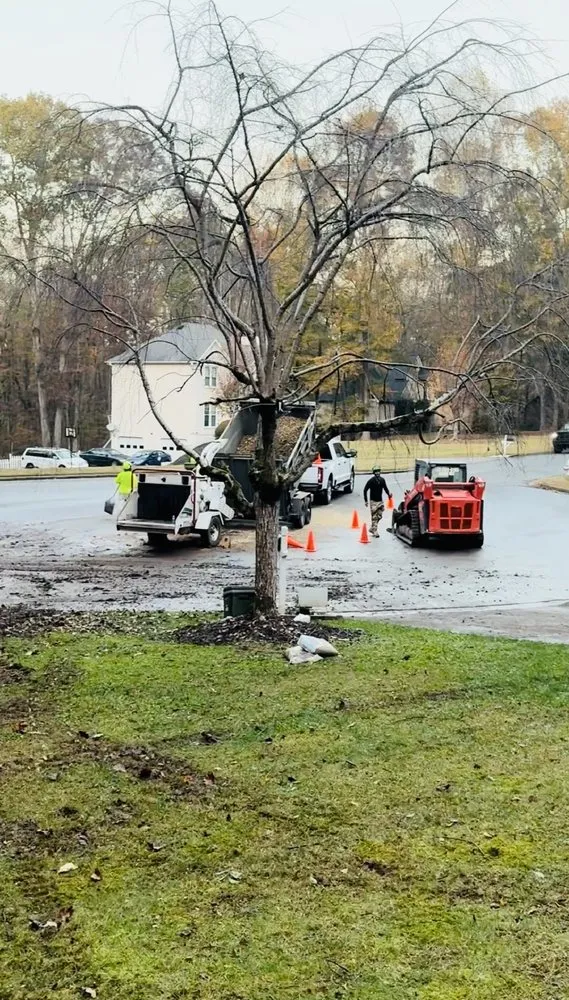 Local yard maintenance in Sugar Hill, GA by D & G Tree Removal And More