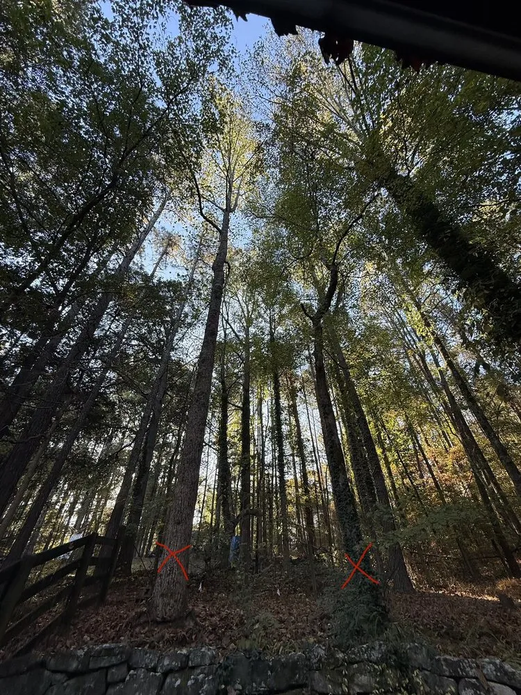 Professional residential landscaping for homes in Sugar Hill, GA by D & G Tree Removal And More