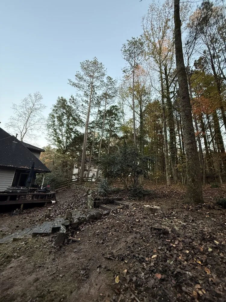 Top-rated yard maintenance for outdoor upgrades in Sugar Hill, GA by D & G Tree Removal And More