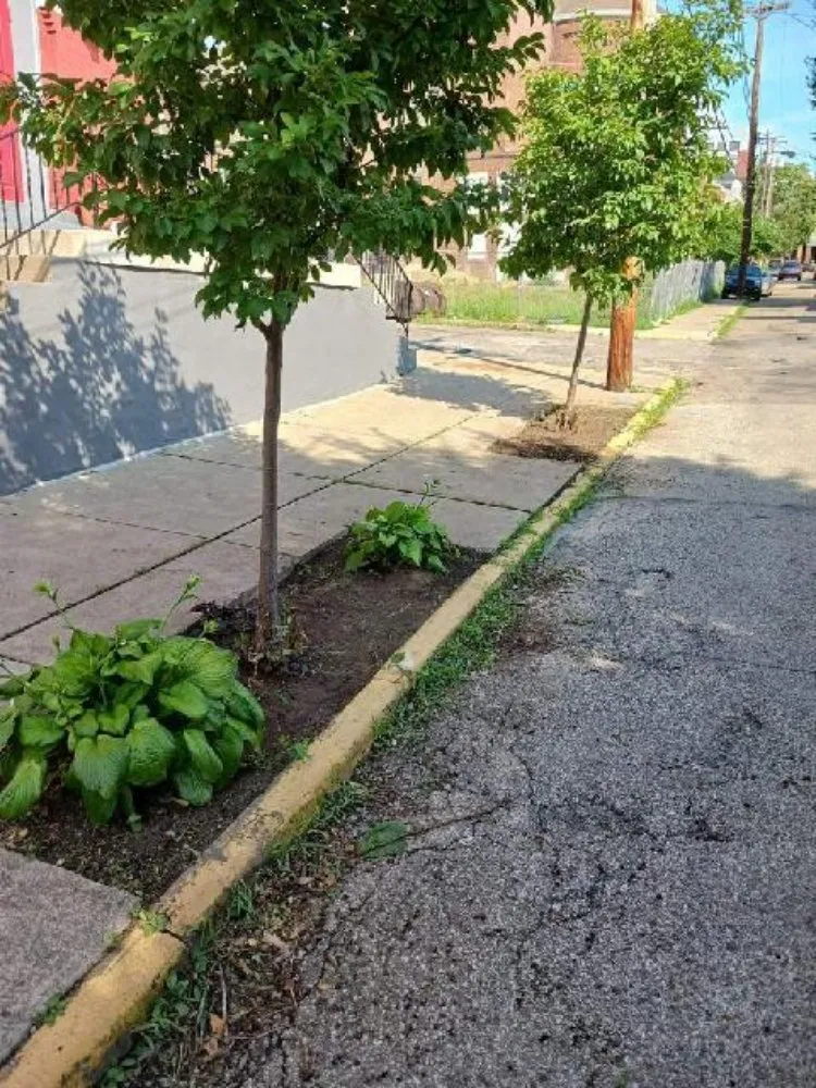 Local garden landscaping in Pittsburgh, PA by D & H Landscaping & Demolition Clean Outs