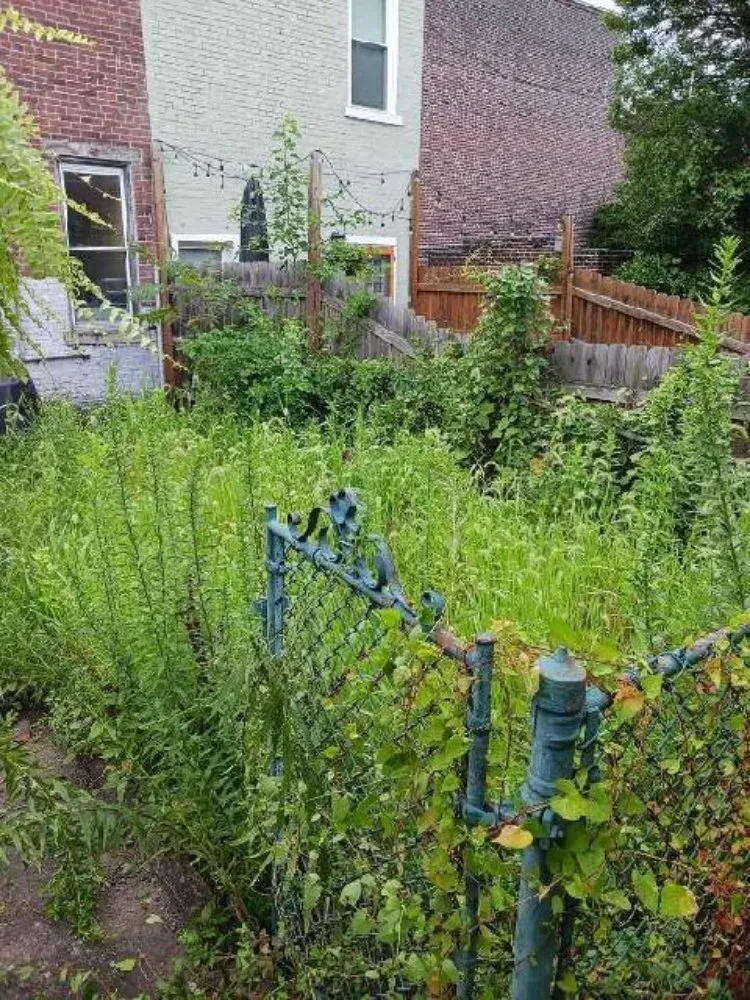 Local landscape design in Pittsburgh, PA - D & H Landscaping & Demolition Clean Outs