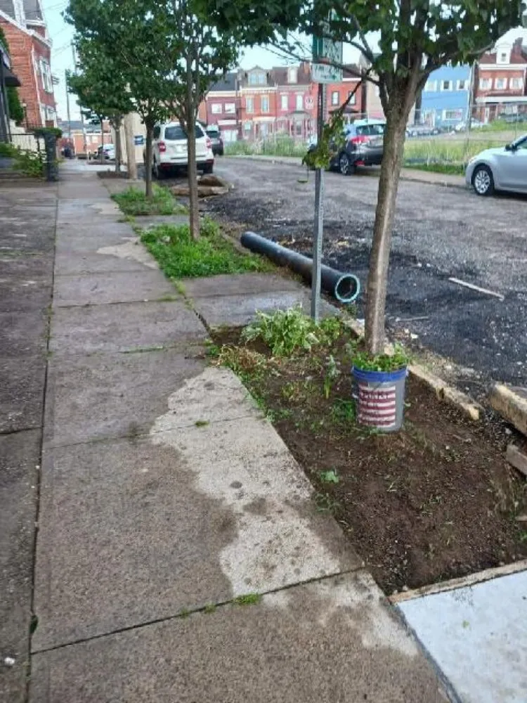 Trusted landscape installation in Pittsburgh, PA by D & H Landscaping & Demolition Clean Outs