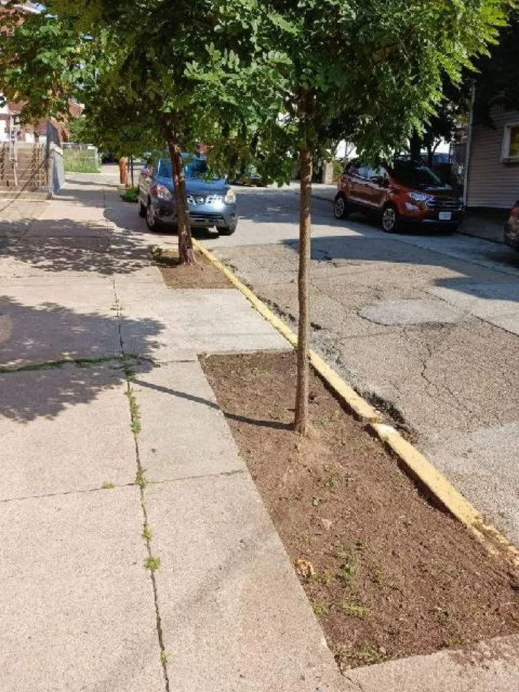 Local residential landscaping near you across Pittsburgh, PA - D & H Landscaping & Demolition Clean Outs