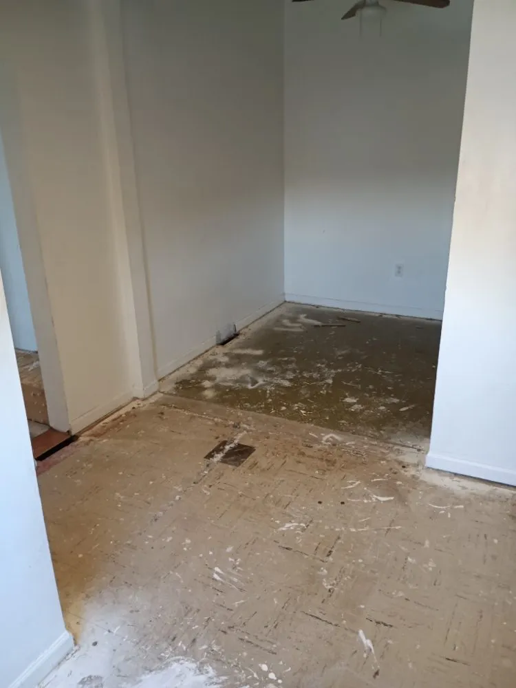 Expert yard maintenance in Pittsburgh, PA - D & H Landscaping & Demolition Clean Outs